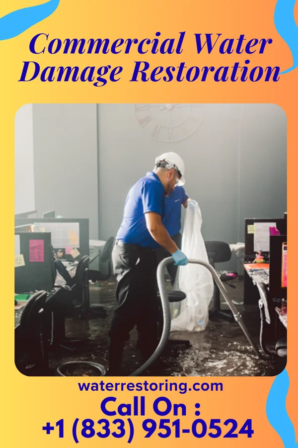 Commercial Water Damage Restoration in Bryant, WA