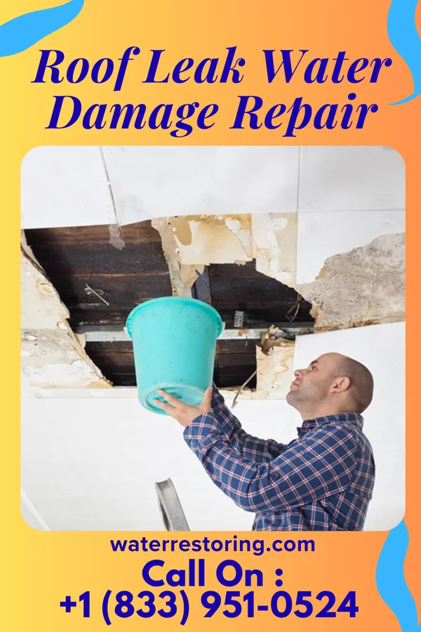 Roof Leak Water Damage Repair in Bryant, WA